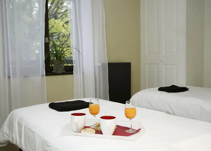 Le Domaine Du Plantier 5* Grenoble